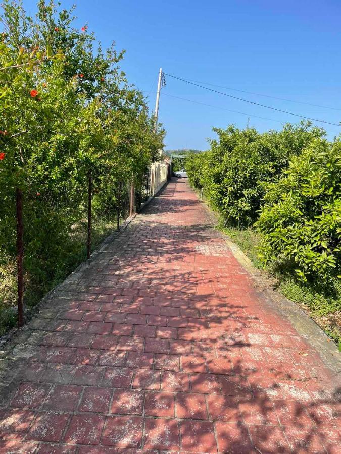 Villa Nilic Bar Bagian luar foto